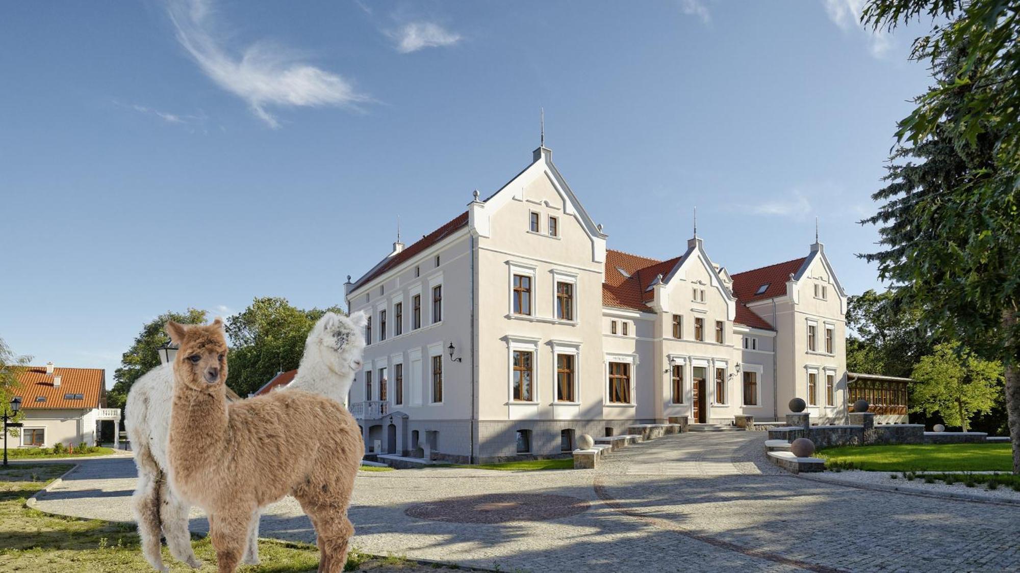 Palac Mortegi Hotel & Spa- Restauracja Szlachecka, Spa, Basen, Sauny, Jazda Konna, Mini Zoo- Luksus, Relaks I Przyroda W Jednym! Lubawa ภายนอก รูปภาพ